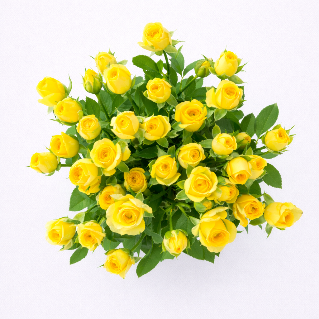 Para alegrar el día con flores Ramo de rosas amarillas frescas en vista cenital, arreglo floral luminoso.