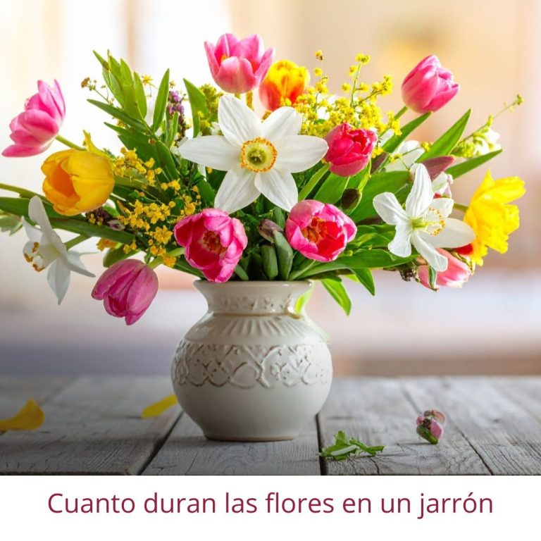 Cuanto duran las flores en un jarrón Flores variadas en un jarrón blanco sobre una mesa