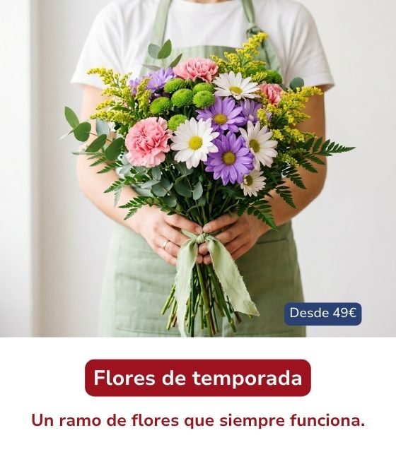 Ramo de flores de temporada. Ramo de flores variadas con margaritas blancas, flores moradas y rosadas, sostenido con ambas manos por una persona